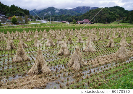 鄉村景觀稻田收割稻草後鄉村景觀Hiwa 60570580