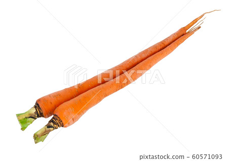 Otsuka Carrot Otsuka Carrot Otsuka Carrot Carrot Carrot 60571093