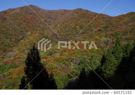 Ikenanodan Hieisan Autumn leaves Aozora 60571182