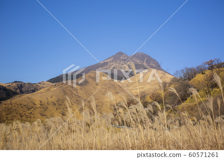 Yufudake and the withering meadow 60571261