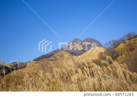 Yufudake and the withering meadow Yufudake and the withering meadow 60571263