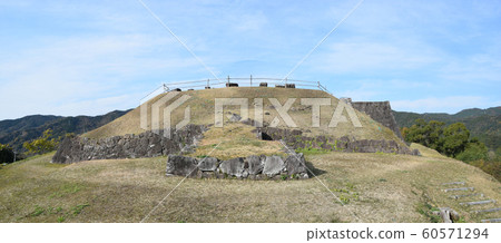 Sasu castle ruins 60571294