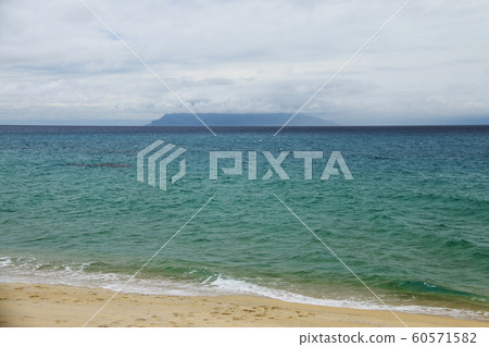 Sea of Yakushima, South Sea Island Sea Turtle Inaka Beach Sea of Yakushima, South Sea Island Sea Turtle Inaka Beach 60571582
