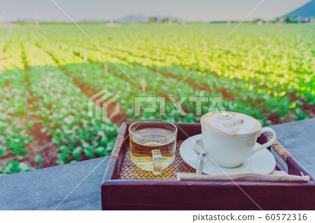 Hot coffee in a white cup and Chinese tea for a relaxing break for farmers in the afternoon on the terrace in the kale farm. Hot coffee in a white cup and Chinese tea for a relaxing break for farmers in the afternoon on the terrace in the kale farm. 60572316
