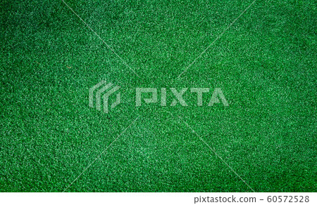 The surface of the lawn view from above. grass The surface of the lawn view from above. grass 60572528