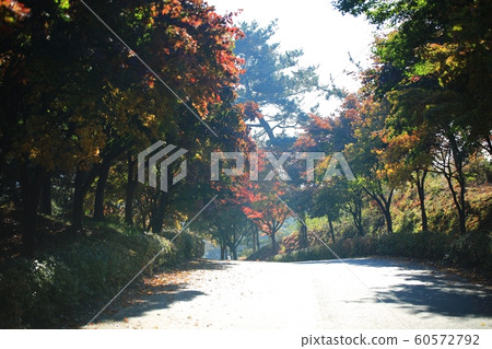 Autumn Travel, Autumn Leaves, Independence Hall 60572792
