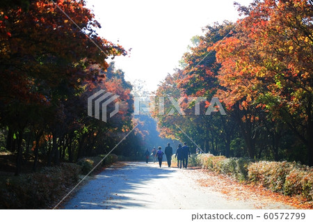 Autumn Travel, Autumn Leaves, Independence Hall Autumn Travel, Autumn Leaves, Independence Hall 60572799