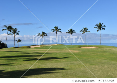 Hawaii's golf course Hawaii's golf course 60572896