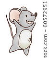 mouse   60572951