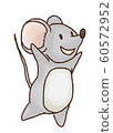 mouse   60572952