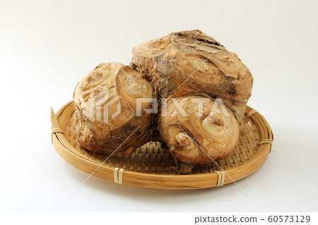 Young girls 60573129