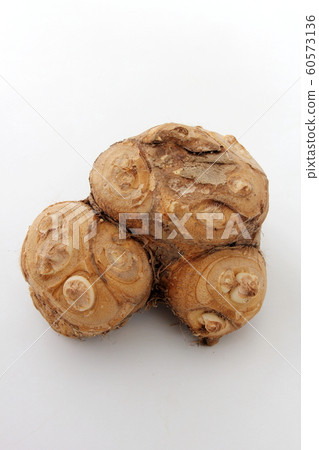 Young girls 60573136