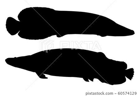 Animal silhouette sea and river piraku Animal silhouette sea and river piraku 60574129