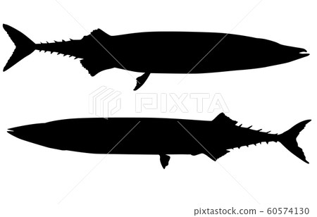 Animal silhouette sea, river saury Animal silhouette sea, river saury 60574130