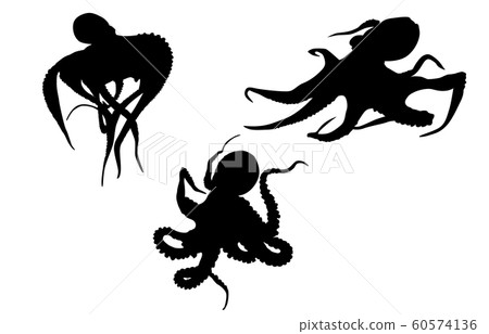 Animal silhouette sea and river octopus Animal silhouette sea and river octopus 60574136