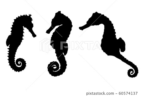 動物剪影海和河海馬 動物剪影海和河海馬 60574137