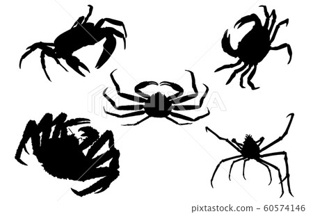 Animal silhouette sea crab crab 60574146