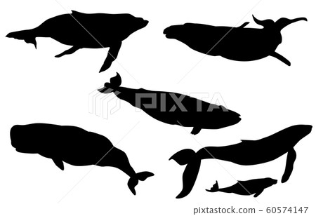 動物剪影海和河鯨 60574147