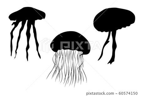 Animal silhouette sea / river jellyfish 60574150