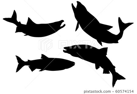 Animal silhouette sea and river salmon Animal silhouette sea and river salmon 60574154
