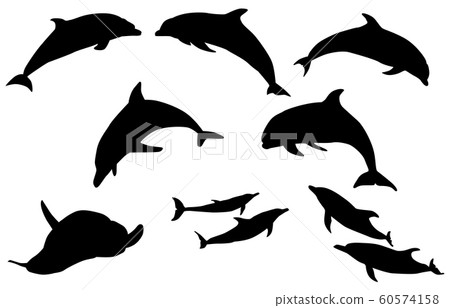 Animal silhouette sea, river dolphin 60574158