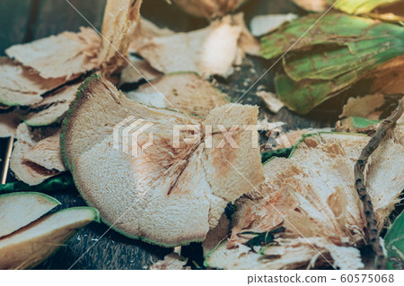 Close up to Coconut peel on the table after being peeled to make coconut juice. Close up to Coconut peel on the table after being peeled to make coconut juice. 60575068