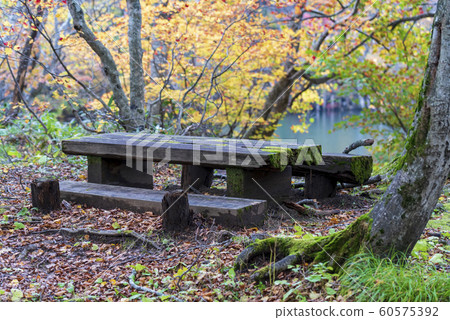 Bench and table Bench and table 60575392