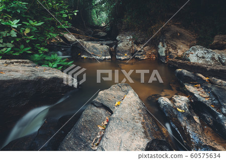 River in nature in the morning 60575634