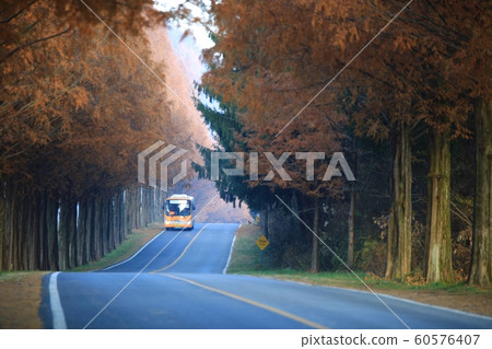 Beautiful road, autumn trip, sand ash Beautiful road, autumn trip, sand ash 60576407