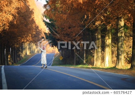 Beautiful road, autumn trip, sand ash 60576427