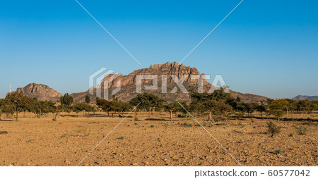Landscape in Gheralta near Abraha Asbaha in Northern Ethiopia, Africa Landscape in Gheralta near Abraha Asbaha in Northern Ethiopia, Africa 60577042