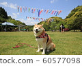 柴犬和小ino(湖木花園) 柴犬和小ino(湖木花園) 60577098