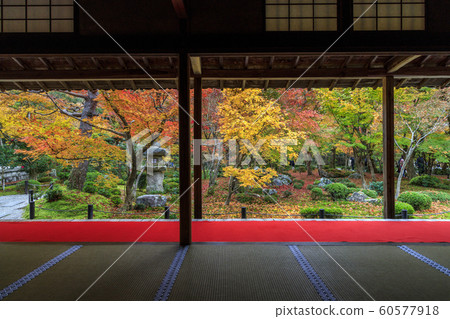 Arakoji寺 Arakoji寺 60577918