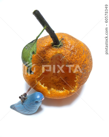 Bird damage Bird damage Fruit tree damage Bird damage Bird damage Fruit tree damage 60578349