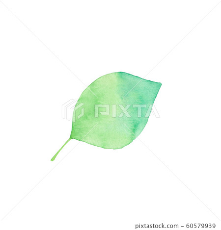 簡單的綠葉材料 60579939