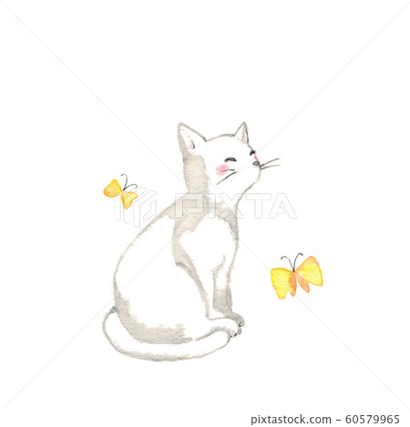 懶惰的白貓和黃蝴蝶 60579965