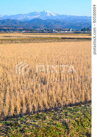 白山白山來自石川縣能美市/攝影於2019年12月 60580004