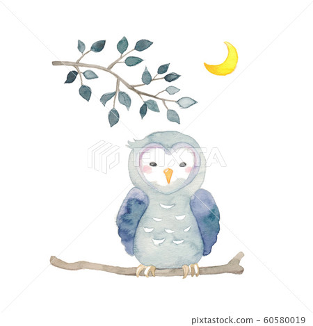 Owl with night view Owl with night view 60580019
