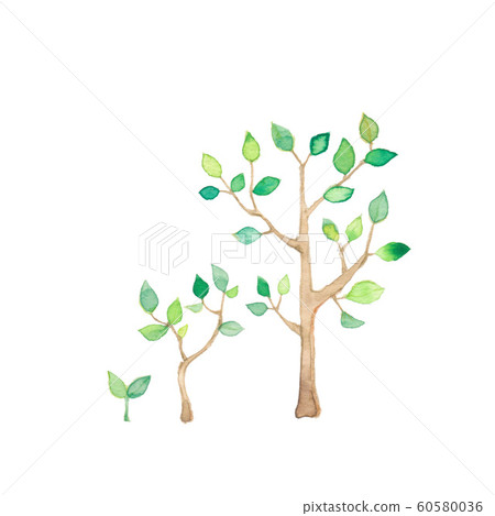 Tree growth 60580036