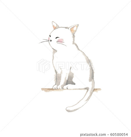 A white cat looking into the distance A white cat looking into the distance 60580054