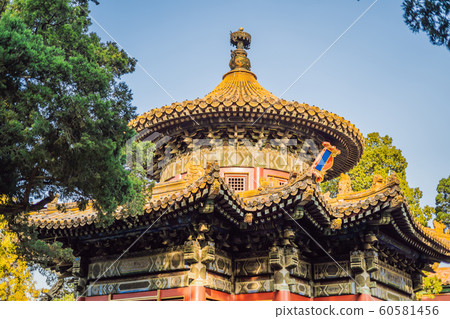Ancient royal palaces of the Forbidden City in Beijing,China 60581456