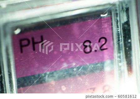Close up of PH tester level bar show indicator 60581612