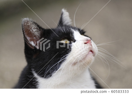 請祝福。 60583333