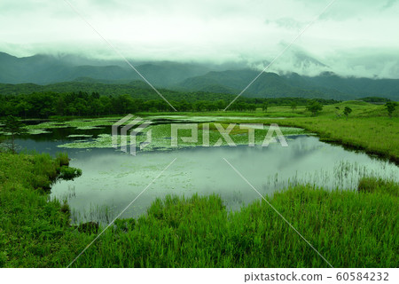 知床五子（北海道Shari町） 60584232