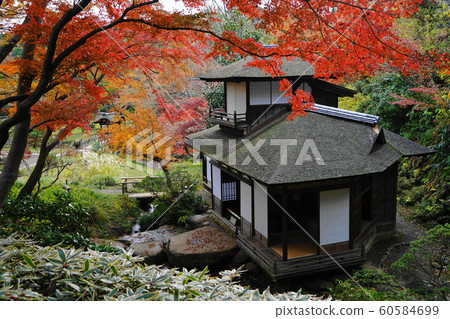 12月橫濱550秋葉和三景園 60584699