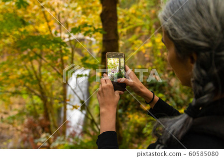A young woman with gray hair takes photographs of the Multnomah waterfall in the Columbia River Gorge, Oregon 60585080