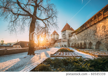 Tallinn, Estonia. Former Prison Tower Neitsitorn In Old Tallinn. Medieval Tower At Winter Sunrise In Sunny Morning. Sun Shining Through Woods Branches. UNESCO Famous Landmark. Destination Scenic Tallinn, Estonia. Former Prison Tower Neitsitorn In Old Tallinn. Medieval Tower At Winter Sunrise In Sunny Morning. Sun Shining Through Woods Branches. UNESCO Famous Landmark. Destination Scenic 60585339