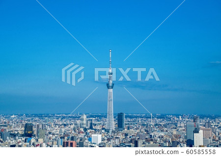 東京天空樹 60585558