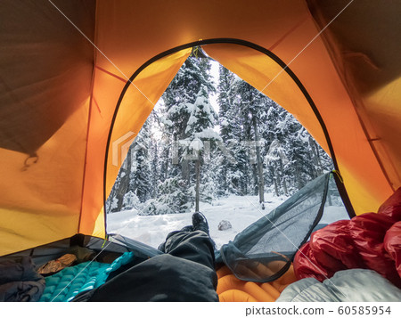 Traveler stretching the legs in tent on snowy pine 60585954
