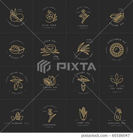 Vector set design templates and emblems - healthy and cosmetics oils. Different natural, organic oils. Vector set design templates and emblems - healthy and cosmetics oils. Different natural, organic oils. 60586047